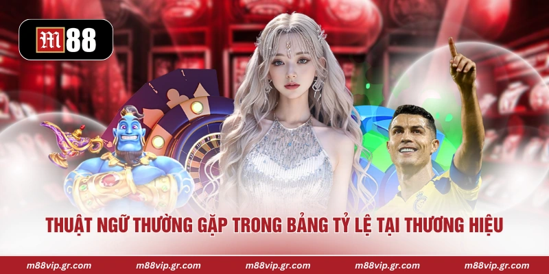 Thuật ngữ thường gặp trong bảng tỷ lệ tại thương hiệu 